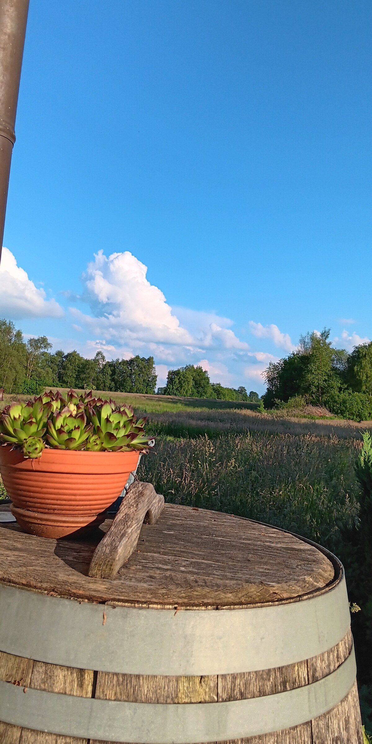 Impression aus der Ferienwohnung, Bild 8